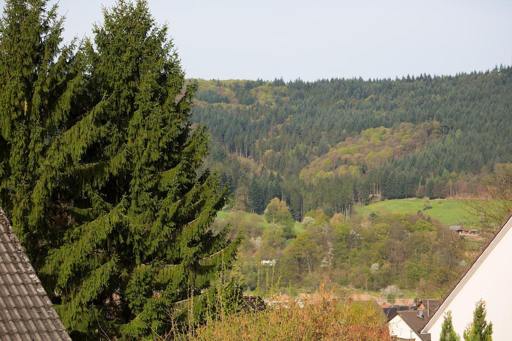 Schoene Aussicht Seelbach  Room photo